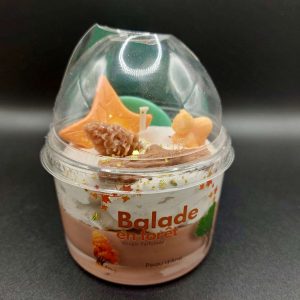 BOUGIE GOURMANDE PARFUMÉ "BALADE EN FORET" DE PEAU D'ANE